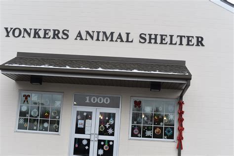 Yonkers animal shelter - The Friends of the Yonkers Animal Shelter is a non-for-profit (501.3C) organization that initally was formed to help the Yonkers Animal Shelter and the animals of the city. A core of volunteers was established to assist in whatever capacity was deamed helpful by the Friends of YAS organization. 
